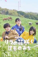 丁香花国语版全集哪里看